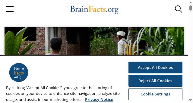Screenshot of brainfacts.org