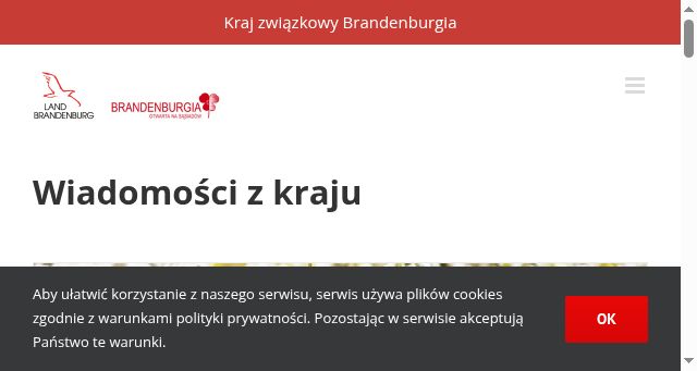 Screenshot of brandenburgia.pl