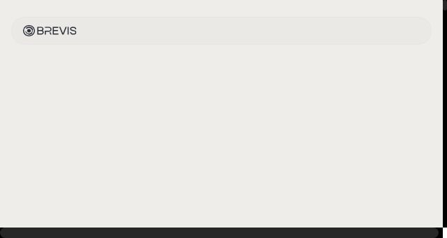 Screenshot of brevis.network