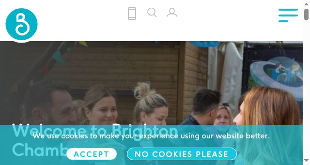 Screenshot of brightonchamber.co.uk