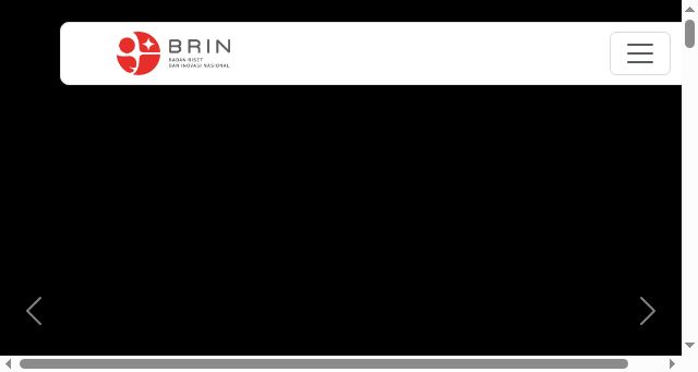 Screenshot of brin.go.id