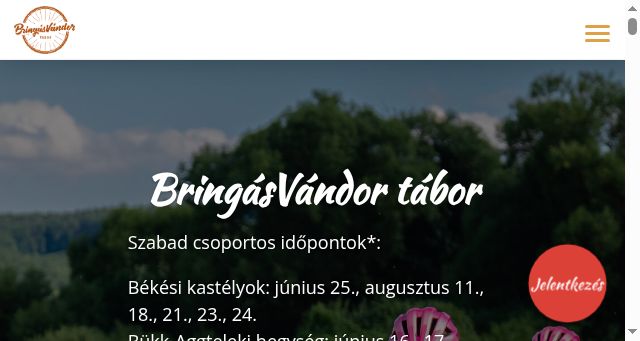 Screenshot of bringasvandor.hu