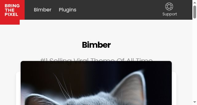 Screenshot of bringthepixel.com