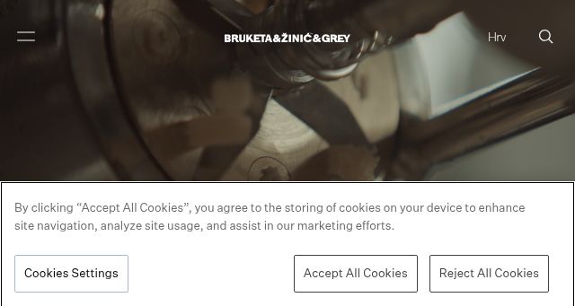 Screenshot of bruketa-zinic.com