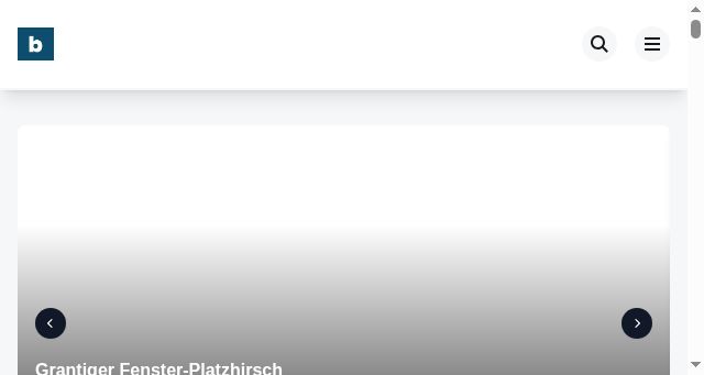 Screenshot of buildingtimes.at
