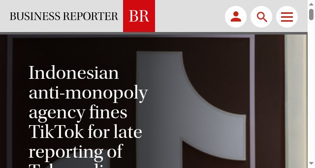Screenshot of business-reporter.com