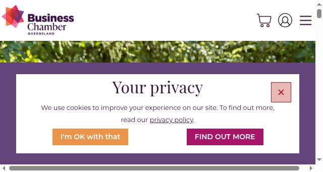 Screenshot of businesschamberqld.com.au
