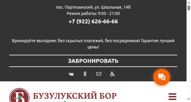 Screenshot of buzbor.ru