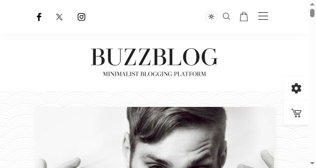 Screenshot of buzzblogprotheme.com