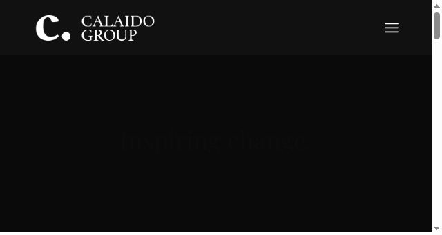 Screenshot of calaidogroup.com