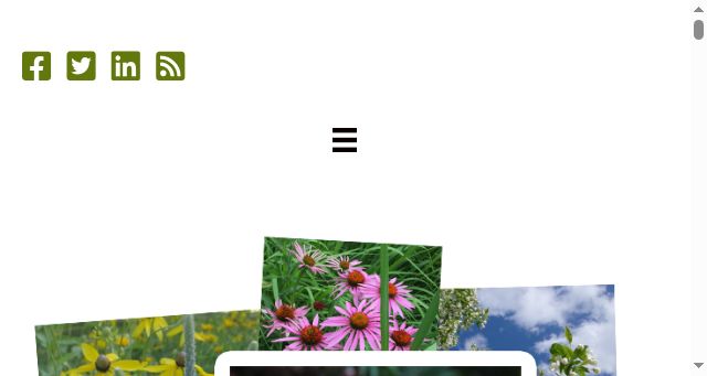 Screenshot of carolbodensteiner.com