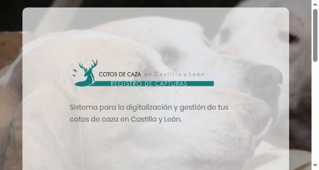 Screenshot of cazacyl.es