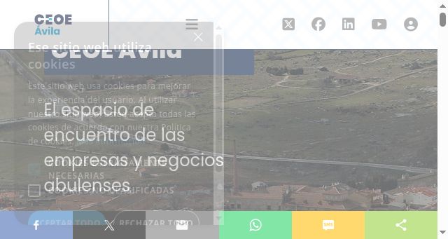 Screenshot of ceoeavila.es