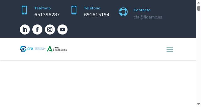 Screenshot of cfacadiz.es