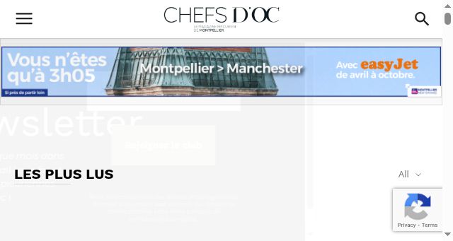 Screenshot of chefsdoc.fr