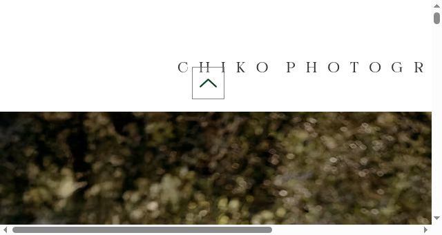 Screenshot of chikophotography.com