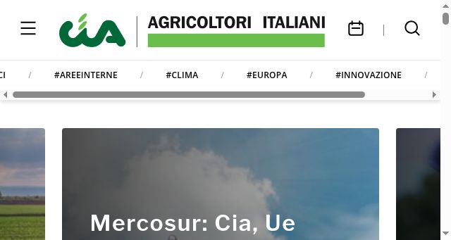 Screenshot of cia.it