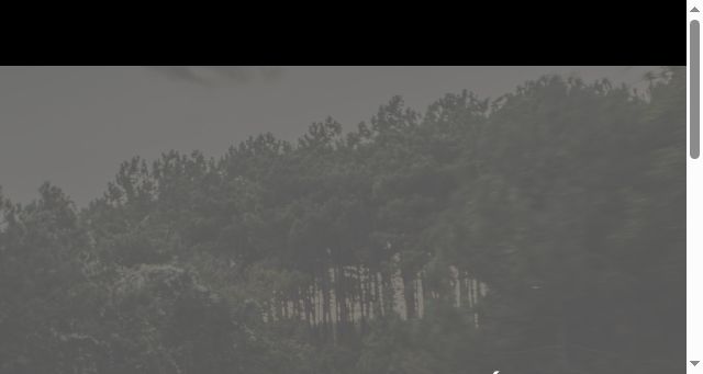 Screenshot of ciencoches.com