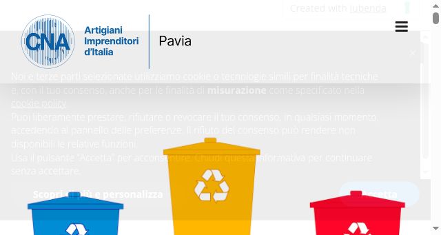 Screenshot of cnapavia.it