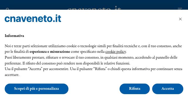 Screenshot of cnaveneto.it