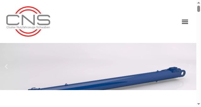 Screenshot of cns-ulm.com