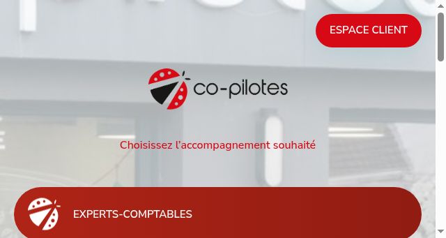 Screenshot of co-pilotes.com