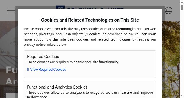 Screenshot of coldwellbankerinternational.com