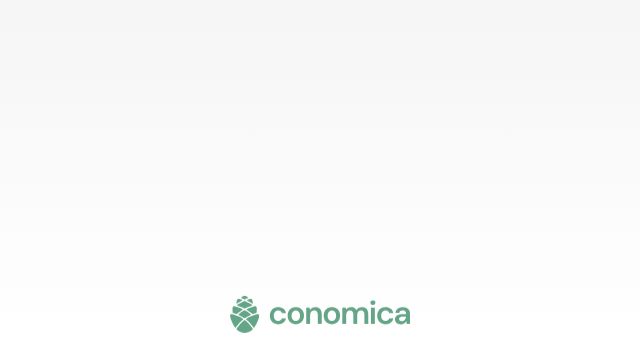 Screenshot of conomica.ru