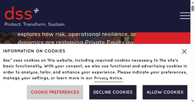 Screenshot of consultdss.com