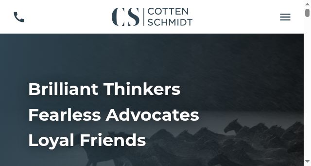 Screenshot of cottenschmidt.com