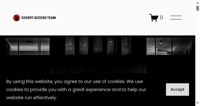 Screenshot of covertaccessteam.com