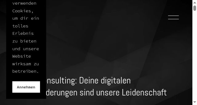 Screenshot of daenzer-consulting.ch