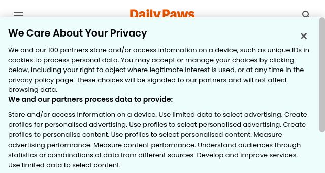 Screenshot of dailypaws.com