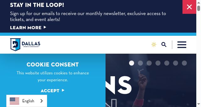 Screenshot of dallassports.org