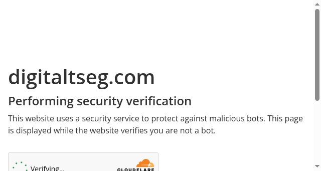 Screenshot of digitaltseg.com