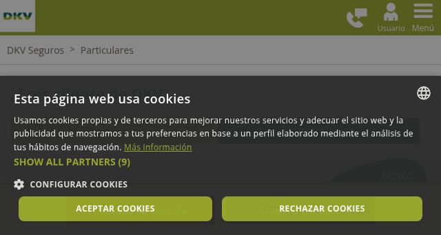 Screenshot of dkv.es