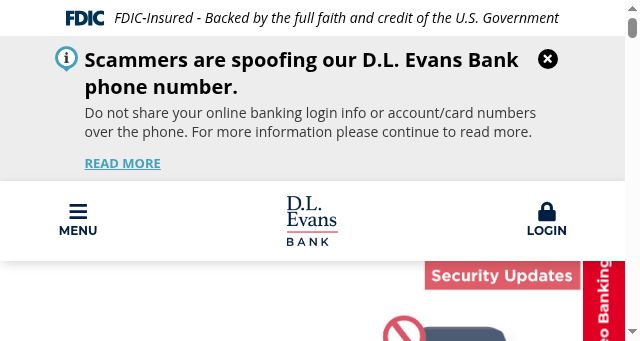 Screenshot of dlevans.com
