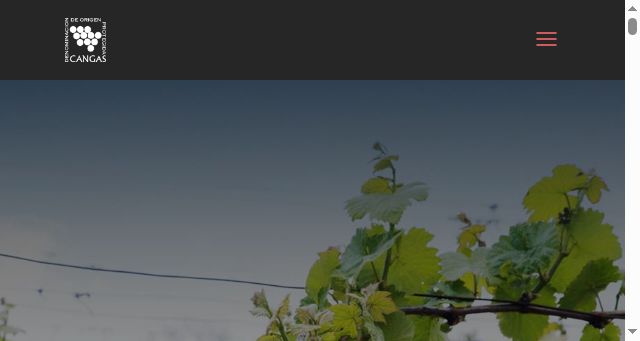Screenshot of docangas.es