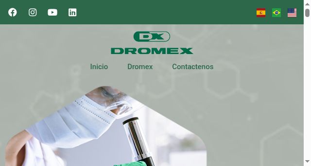 Screenshot of dromex.com