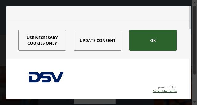 Screenshot of dsv.com