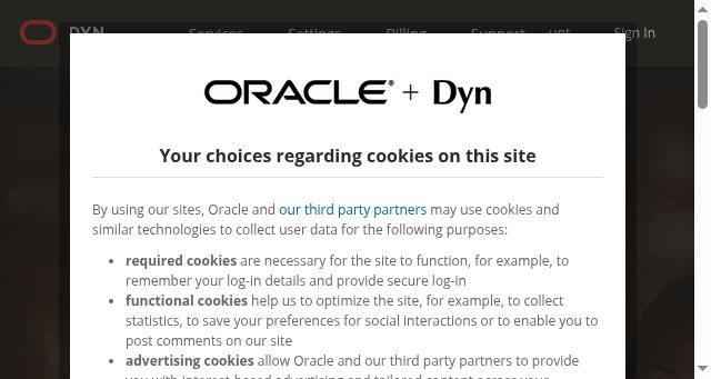 Screenshot of dyn.com