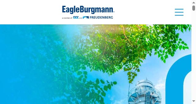 Screenshot of eagleburgmann.com