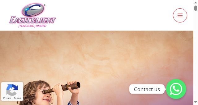 Screenshot of eastcolight.com