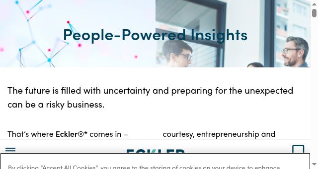 Screenshot of eckler.ca