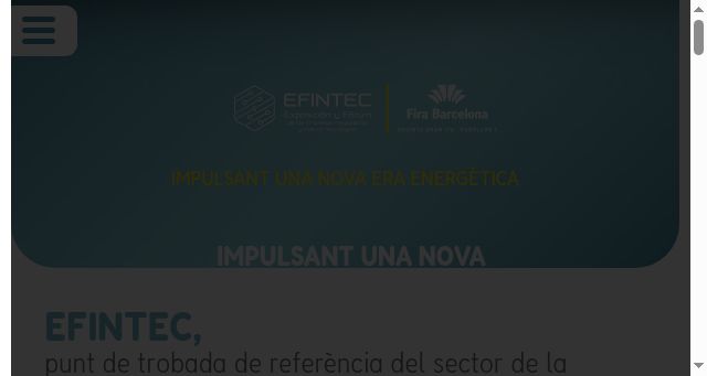 Screenshot of efintec.cat