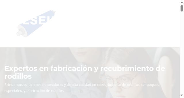 Screenshot of elsein.com