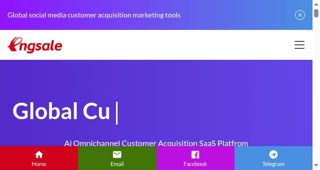 Screenshot of engsale.com
