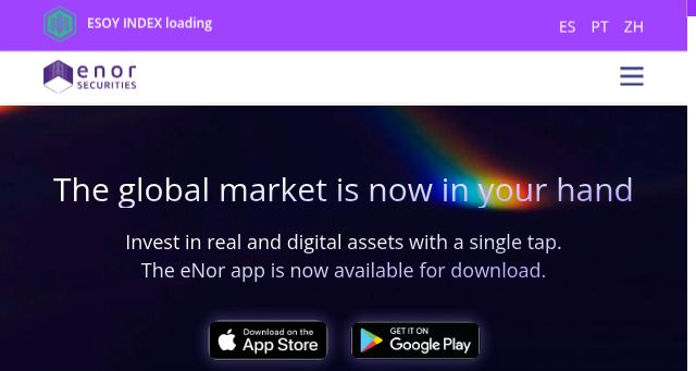 Screenshot of enorsecurities.com