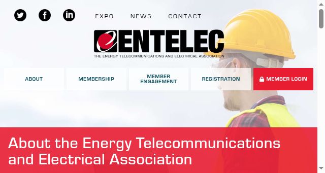 Screenshot of entelec.org
