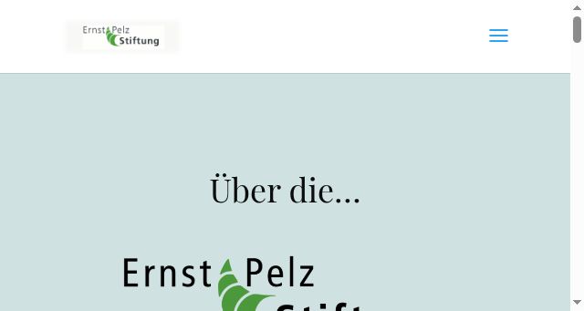 Screenshot of ernst-pelz-stiftung.de